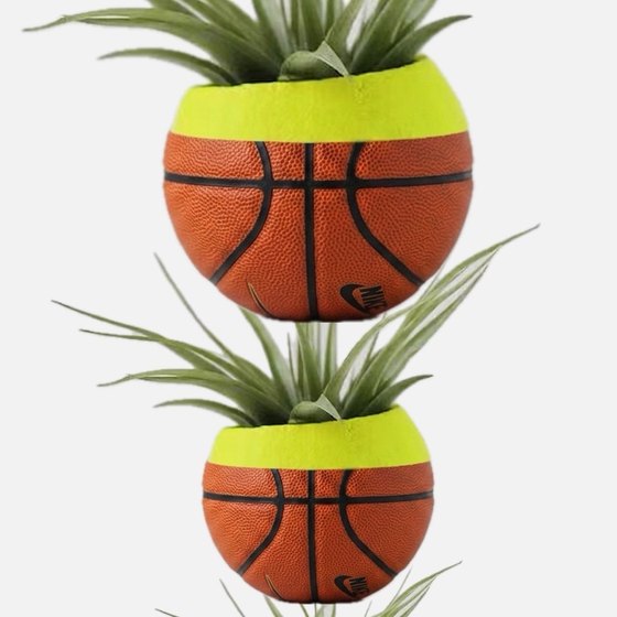 SPORTS UPCYCLE
